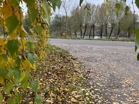 ділянка за адресою Зарічна вул.