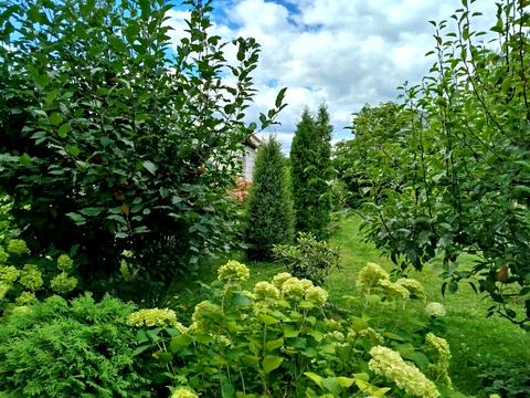 дом по адресу с. Мархалевка, Лесі Українки, 56