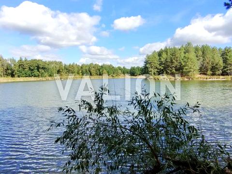 участок по адресу Соснова