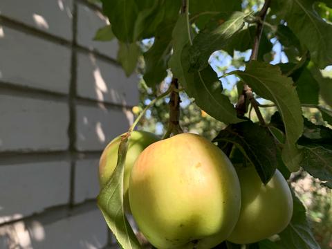 будинок за адресою Киевская, 1