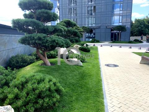 квартира за адресою Академіка Заболотного вул., 1-Б