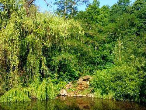 комерційна за адресою Собранецька вул., 2