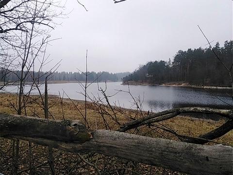 будинок за адресою с. Буки, Буки, 1