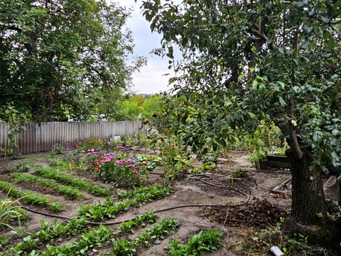 дом по адресу Каменское (Днепродзержинск), Кизлярская ул.
