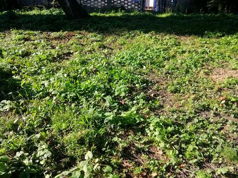 участок по адресу Гайдамацький провулок