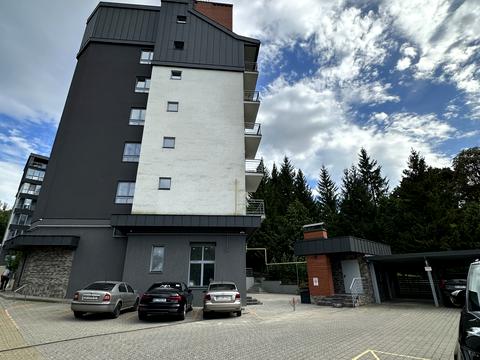 коммерческая по адресу Черемшины ул., 29