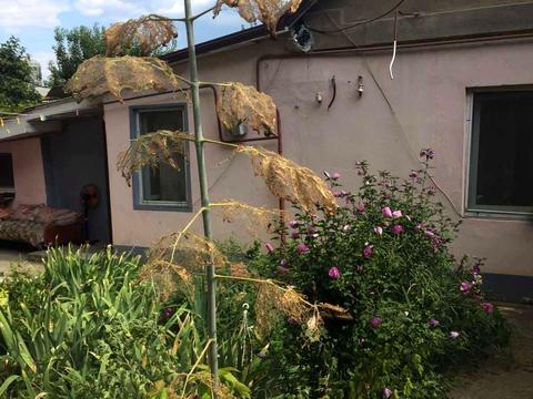 участок по адресу Штурвальна ул., 17