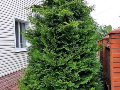 дом по адресу 1-го Мая просп., 239