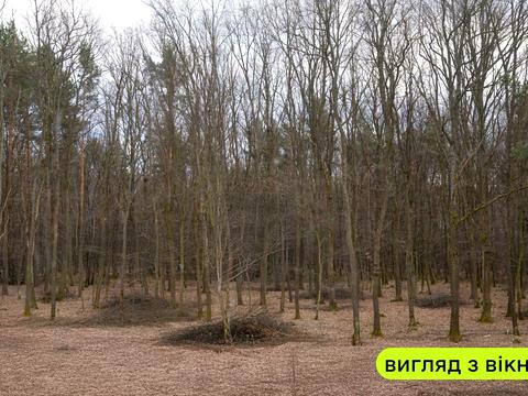 будинок за адресою дзеркальна, 43