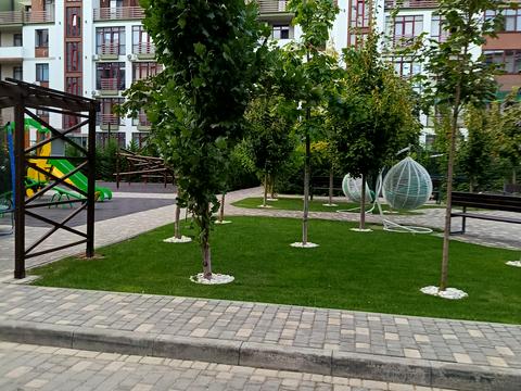 квартира по адресу Владислава Бувалкина ул. (Бочарова Генерала), 60-Б