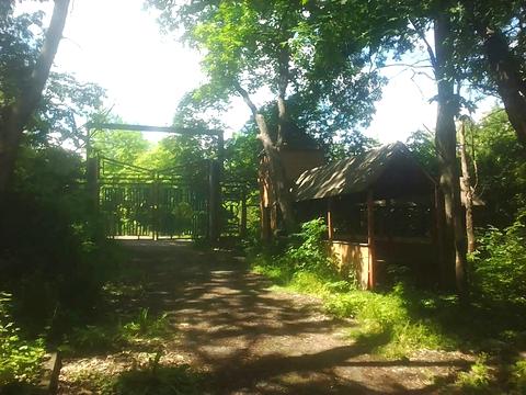 комерційна за адресою Шевченка вул., 43а