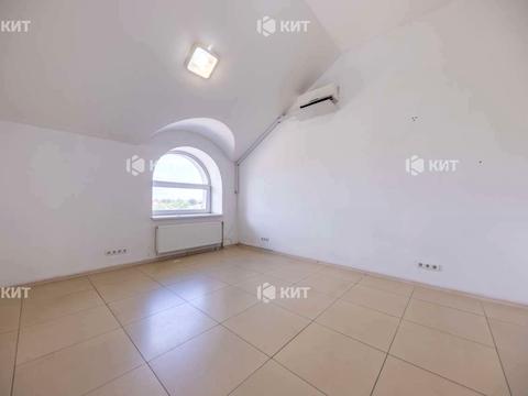 комерційна за адресою Шевченка вул., 146