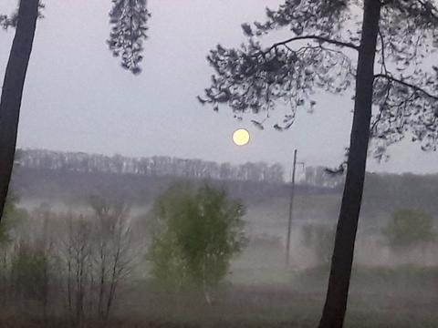 дом по адресу Мирна