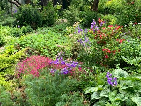 дом по адресу Підлісна, 123-А