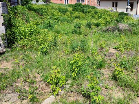 ділянка за адресою Набережна, 20