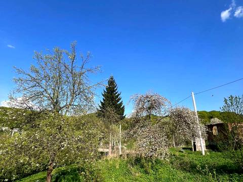 будинок за адресою с. Рокитне, Центральна