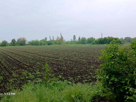 ділянка за адресою Садова, 14