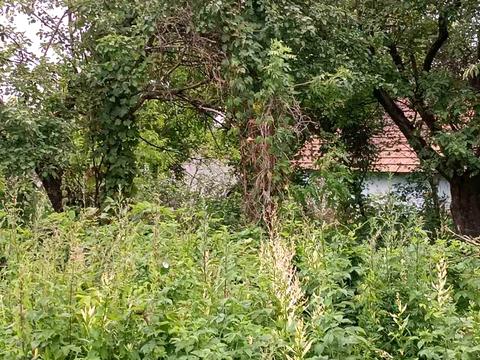 ділянка за адресою Вовчищовичі, 11