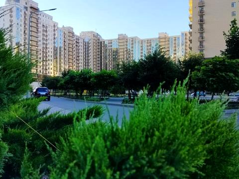квартира по адресу Жемчужная ул., 1