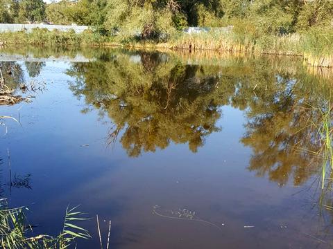 участок по адресу Фастівська, 2а