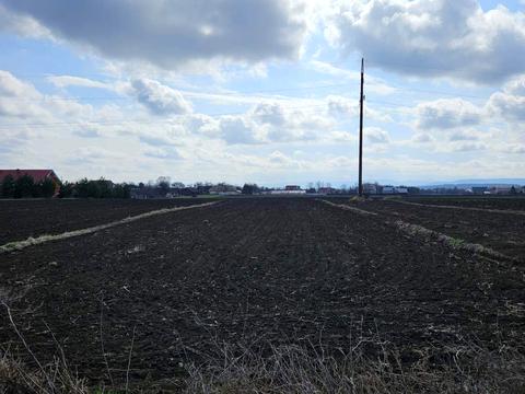 ділянка за адресою С.Стрільців