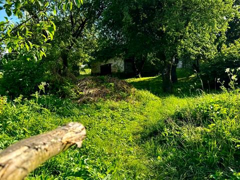 будинок за адресою Шевченка, 58