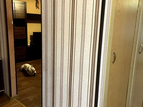 квартира за адресою Кримська вул., 64