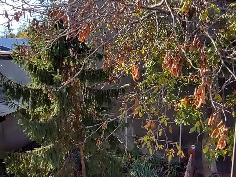 будинок за адресою Дмитра Іванова вул.