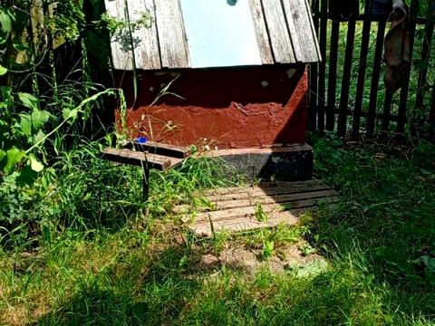 дом по адресу с. Головчинцы, Заярна, 4А
