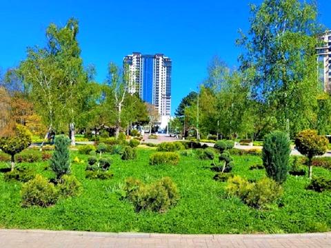 квартира за адресою Сегедська вул., 23