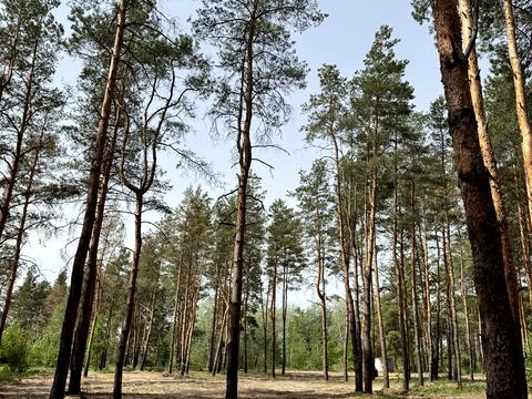 ділянка за адресою Зелена