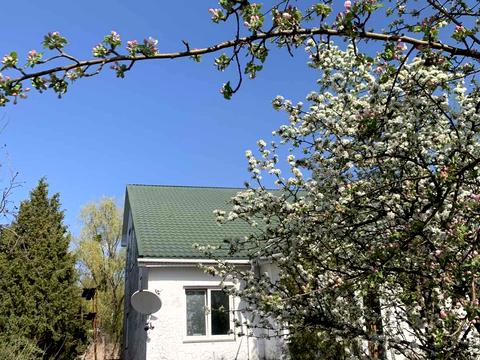 участок по адресу пгт. Козин, 