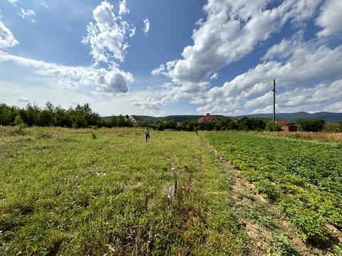 ділянка за адресою с. Невицьке, 