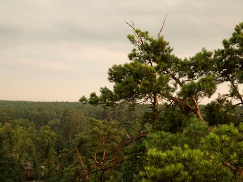 квартира по адресу Киевская ул., 73