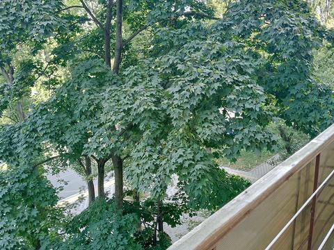 квартира по адресу Энтузиастов ул., 47
