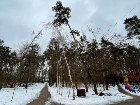 квартира за адресою Тарасівська вул., 10-В