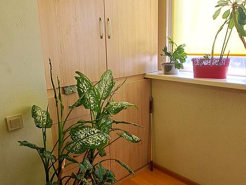 квартира по адресу Северная ул. (Північна), 54-Б