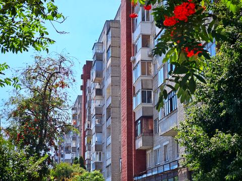 квартира за адресою Теофіла Окуневського вул., 3