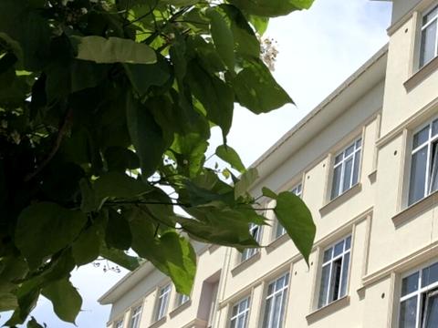 квартира по адресу Цветочный пер., 33