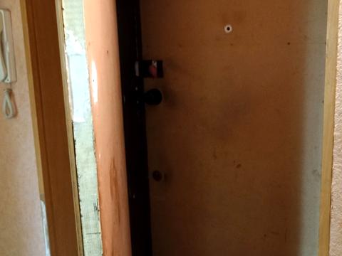 квартира по адресу Пищевая ул., 72