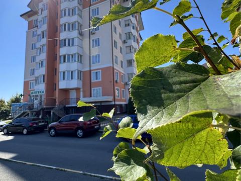 комерційна за адресою Бориса Гмирі вул., 2