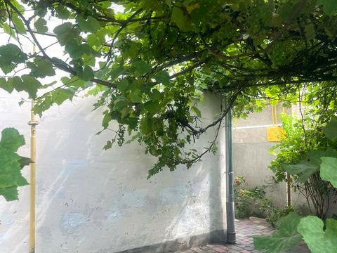 дом по адресу провулок Шухевича