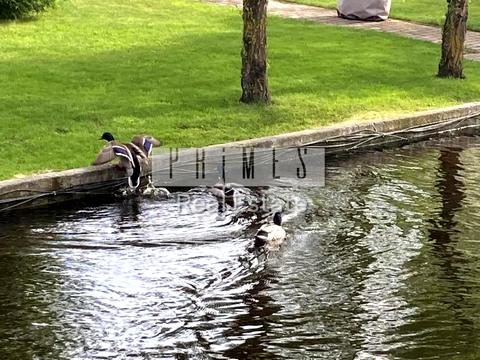 будинок за адресою Ялтинська вул., 14