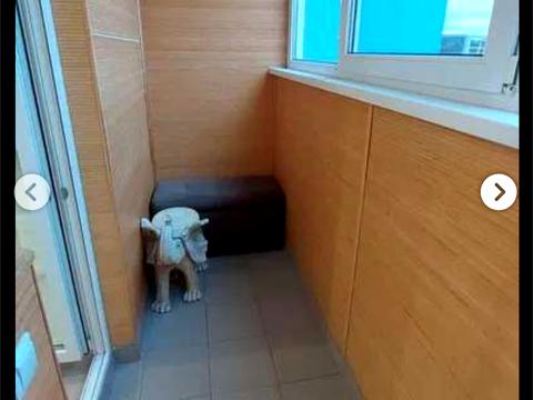 квартира по адресу Демеевская ул., 14