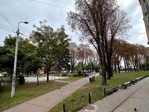 комерційна за адресою Григорія Сковороди вул., 6