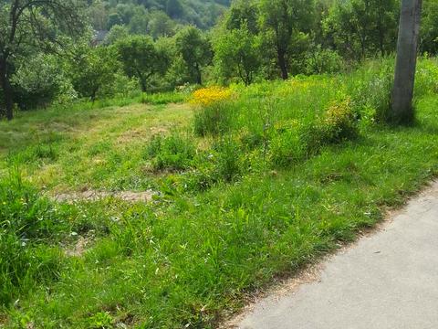 ділянка за адресою Братів Кедюличів
