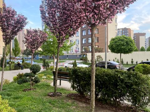 квартира по адресу Берёзовая ул., 43
