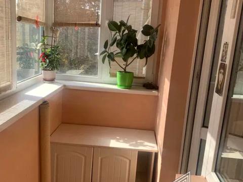 квартира за адресою Василя Овсієнка вул. (Білгородська), 10