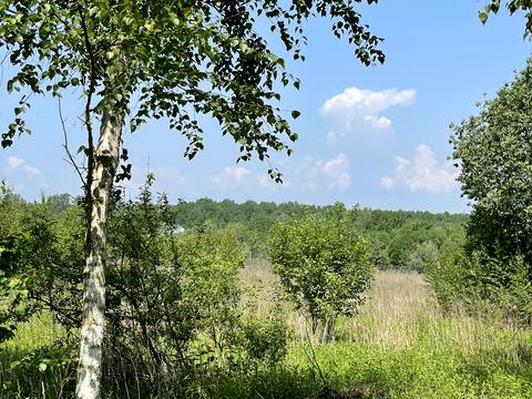 участок по адресу Івана Франка