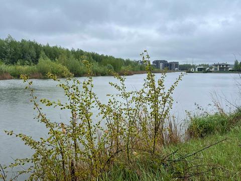 ділянка за адресою Виноградна вул., 33